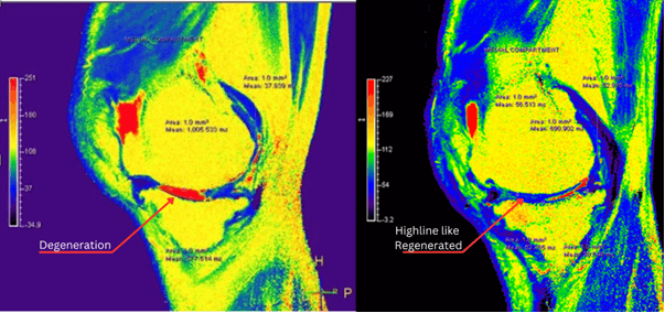 Slide 1 Image 3